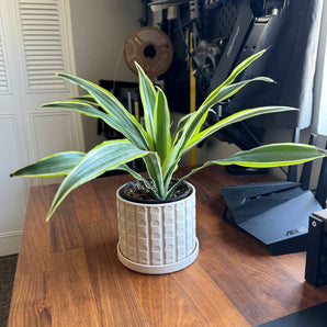 Mid Century Modern Planterkruka med droppbricka