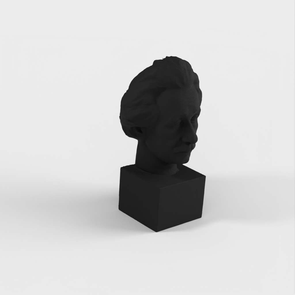 Albert Einstein Bust 3D Scan - Bronsstaty för tryck