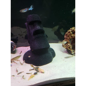 Moai-staty grotta för plecostomus maller