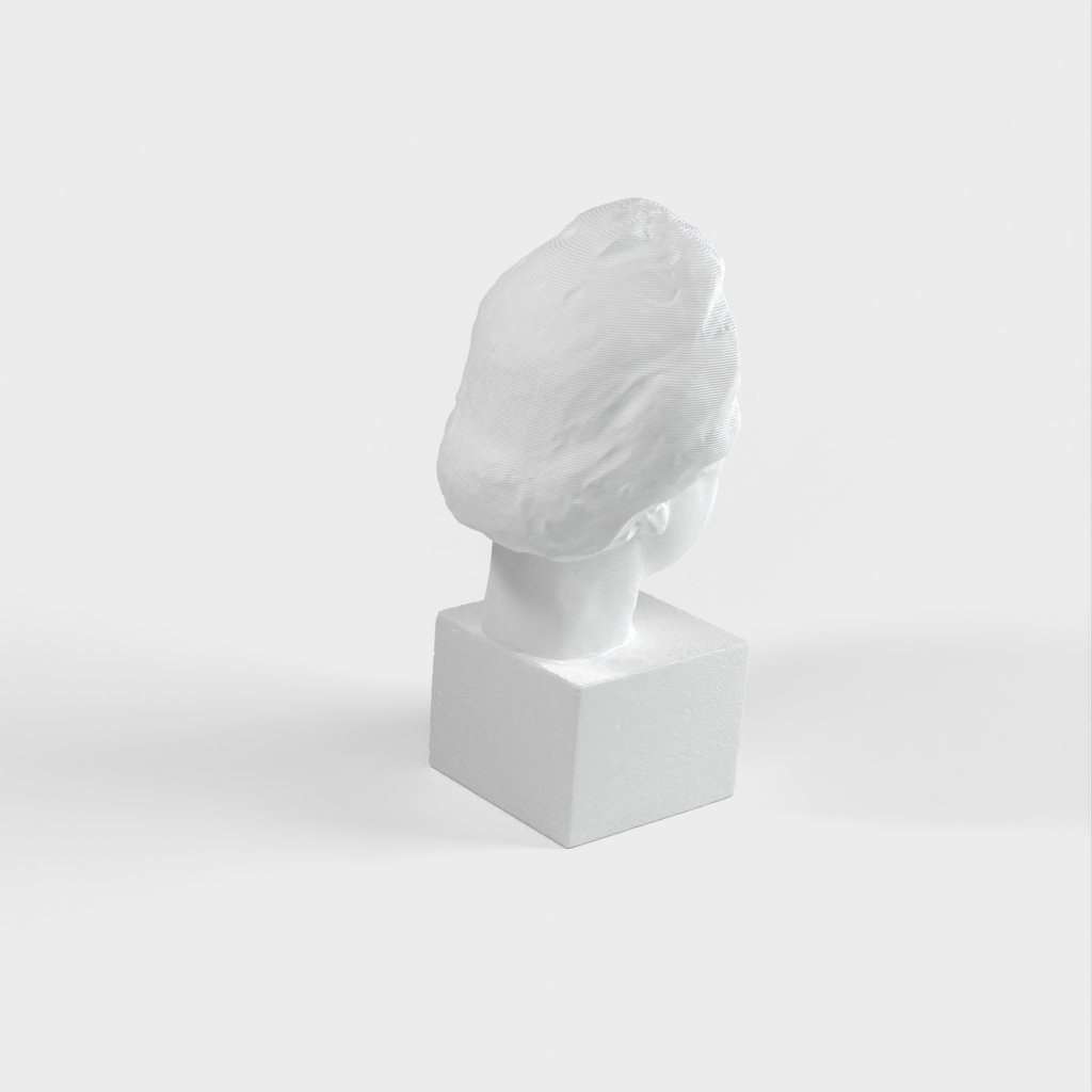 Albert Einstein Bust 3D Scan - Bronsstaty för tryck