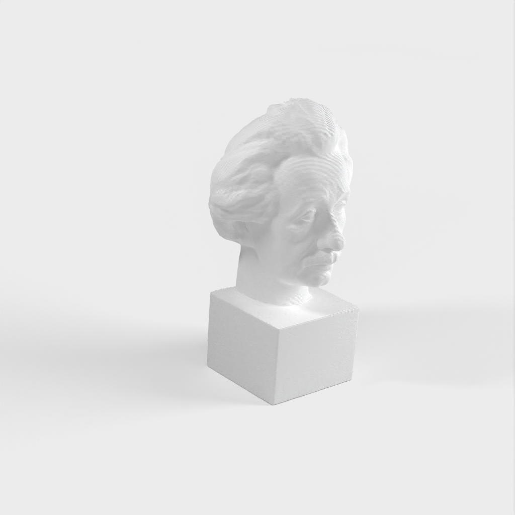 Albert Einstein Bust 3D Scan - Bronsstaty för tryck