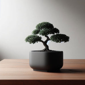 Modern kvadratisk vas för bonsai och dekoration
