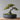 Rund potte med dræn til bonsai træer