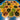 Catan byggklossset