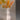 Moderne hovedformet vase i tulipandesign