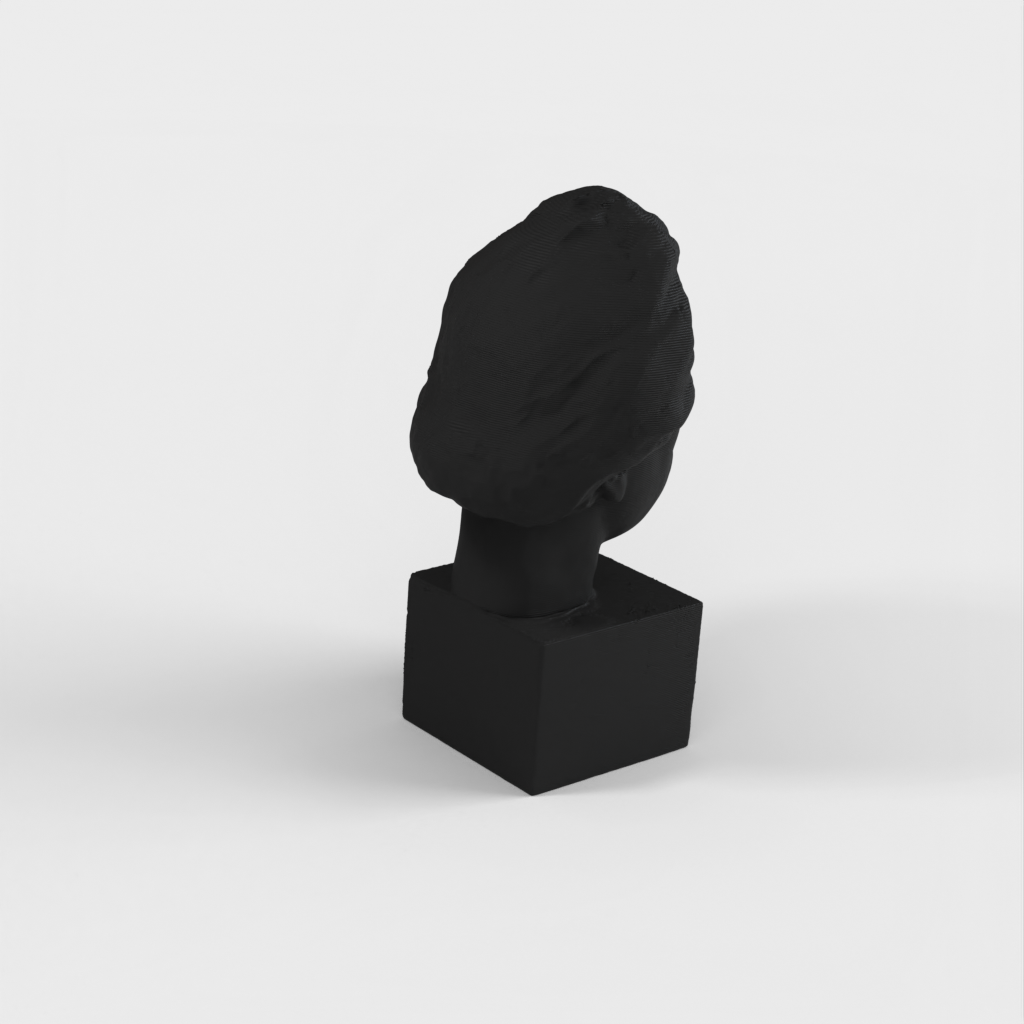 Albert Einstein Bust 3D Scan - Bronsstaty för tryck