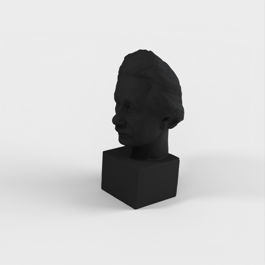 Albert Einstein Bust 3D Scan - Bronsstaty för tryck