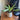 Mid Century Modern Planterkruka med droppbricka