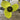 Propellerskydd för utombordsmotor