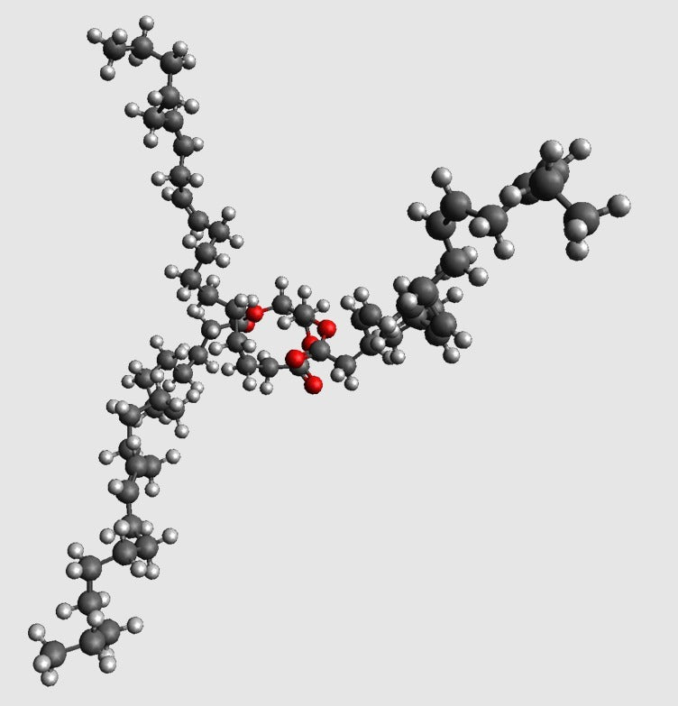 Triacylglycerol molekylär modell i atomär skala
